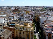 171  old town Sevilla.JPG